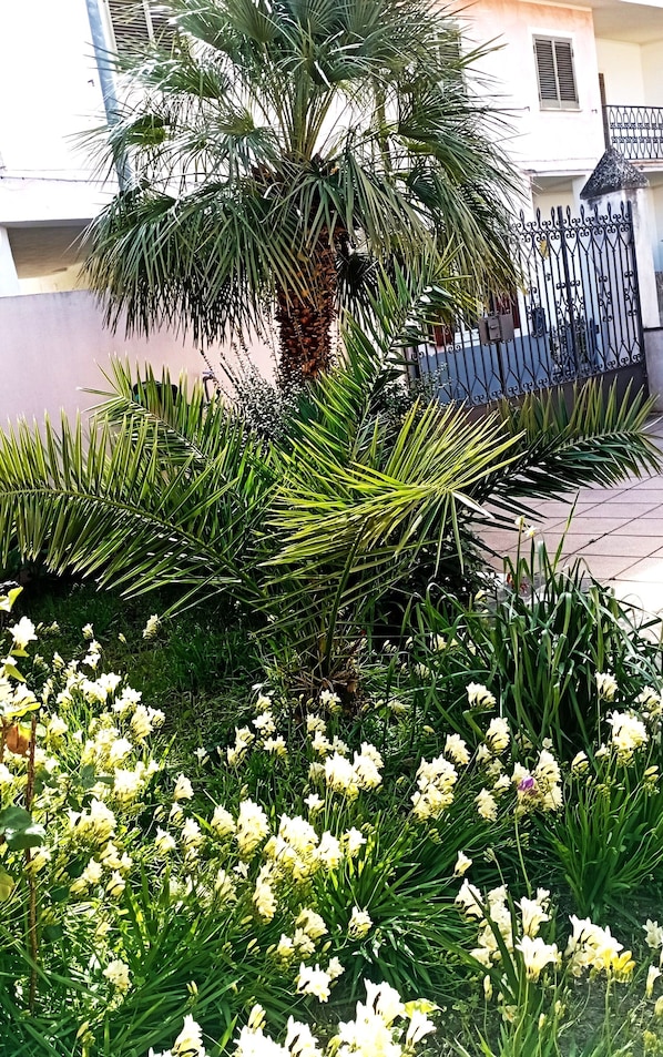 A garden with palm trees and white flowers, a tiled walkway, and a building with a black gate in the background.