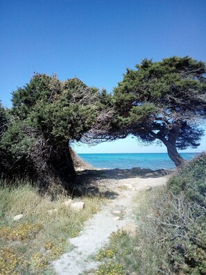 Plage