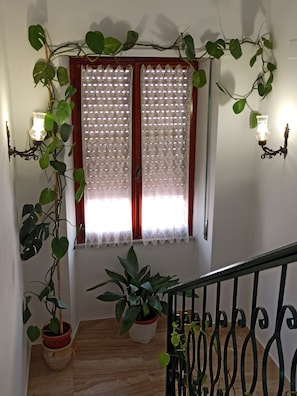 Uma escadaria com corrimão de madeira, um vaso de planta na base e uma janela com cortina de renda e duas luminárias na parede.