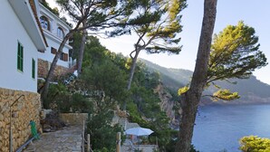 Un escalier en pierre mène à un bâtiment blanc aux volets verts, qui surplombe une zone côtière bordée de pins et offre une vue sur la mer.