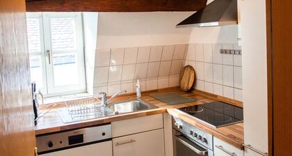 Baroque gallery apartment Goliath -internal city location-