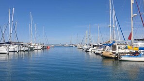 Uma marina com vários veleiros atracados em águas calmas.
