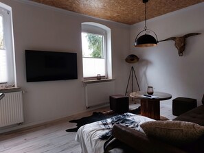 Smart TV, chimenea y libros 