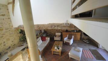 Televisie, een open haard, een dvd-speler en boeken