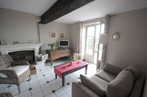 TV, fireplace, DVD player, books - Rural Gites in South Morvan (Saint-Seine)