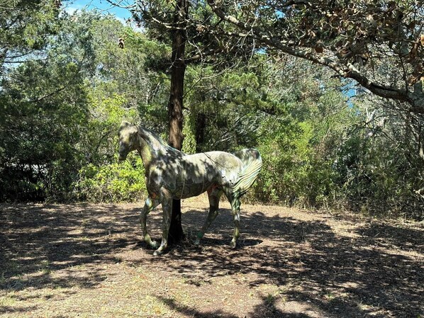 A statue of a horse in a natural setting with trees and shrubs.