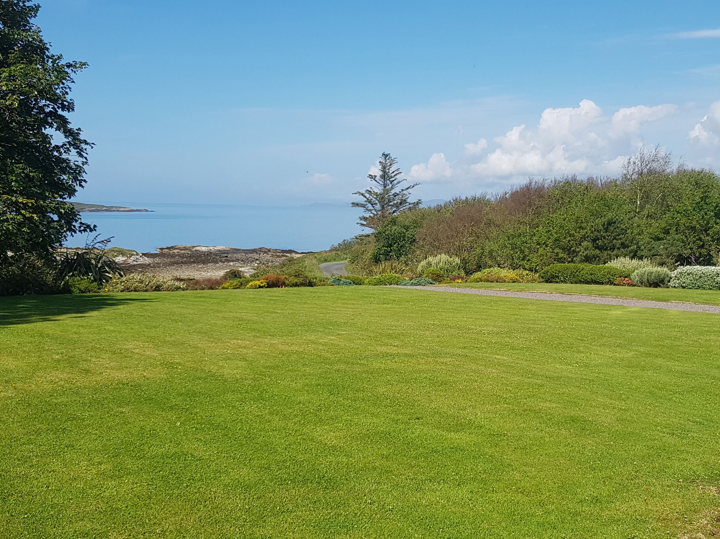 A grassy field with a pathway leading to a coastal area.
