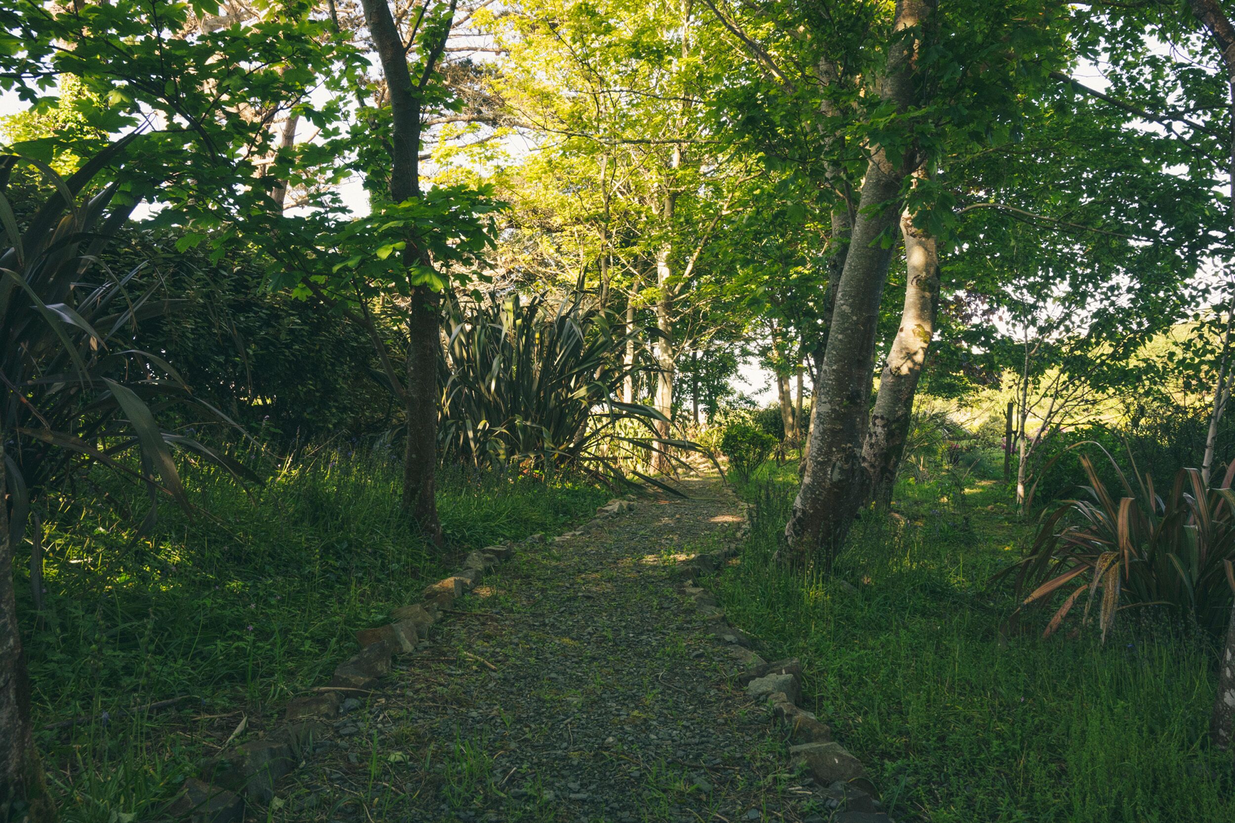 Ein schmaler, natürlich wirkender Steinweg, umgeben von dichtem Grün und Bäumen.