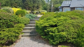 Un sendero de grava conduce a una escalera de piedra rodeada de exuberante vegetación y una casa con techo inclinado.