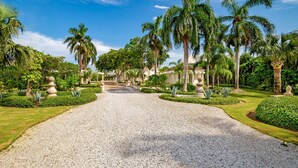 A gravel pathway leading to a building surrounded by palm trees and well-maintained greenery. - Luxury 2-level villa in Punta Cana (Punta Cana)