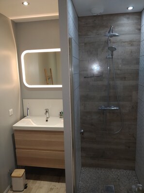 Bathtub, hair dryer, toilet paper