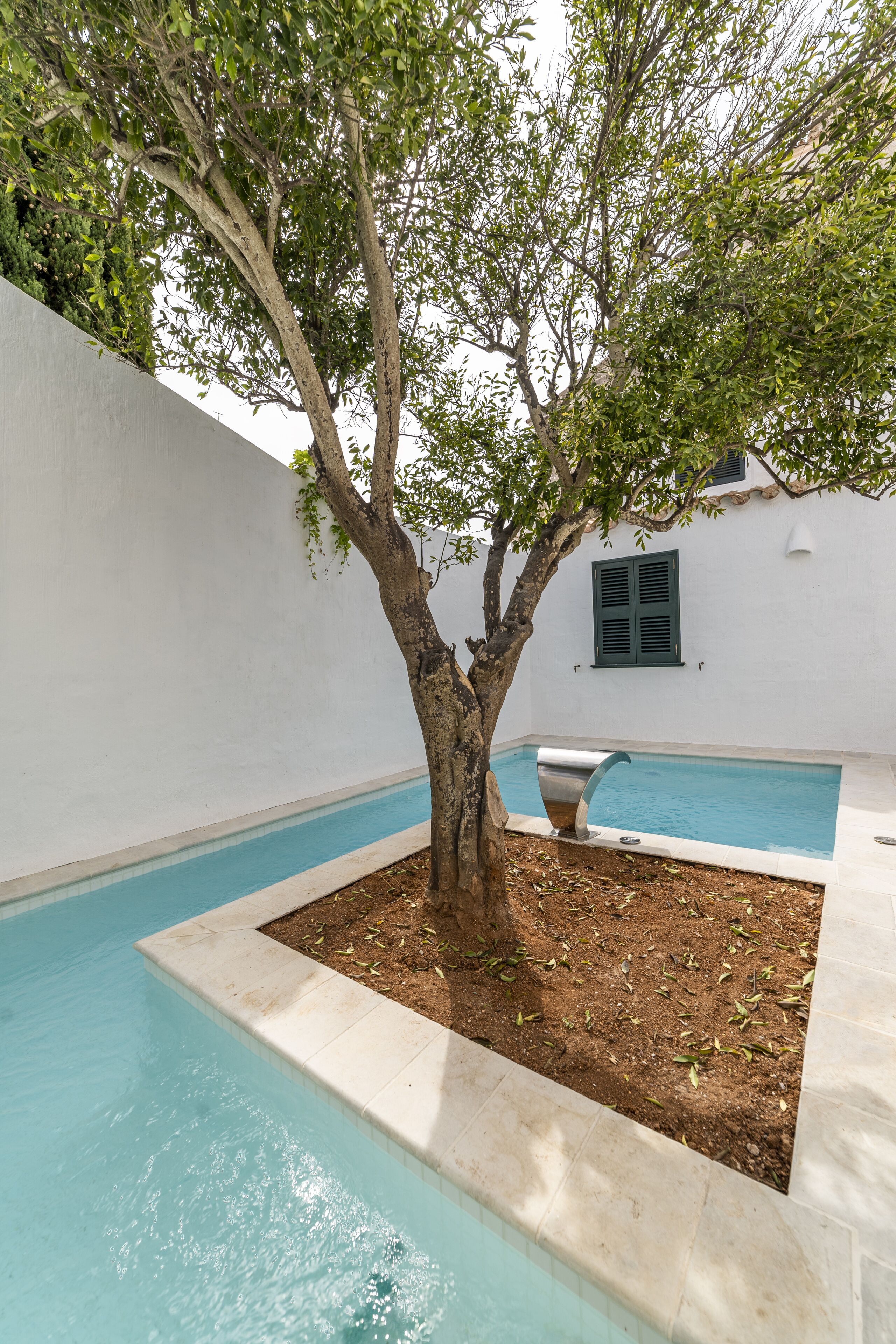 Une piscine avec un arbre au centre, entourée d’un mur blanc et agrémentée d’une fenêtre à volets.