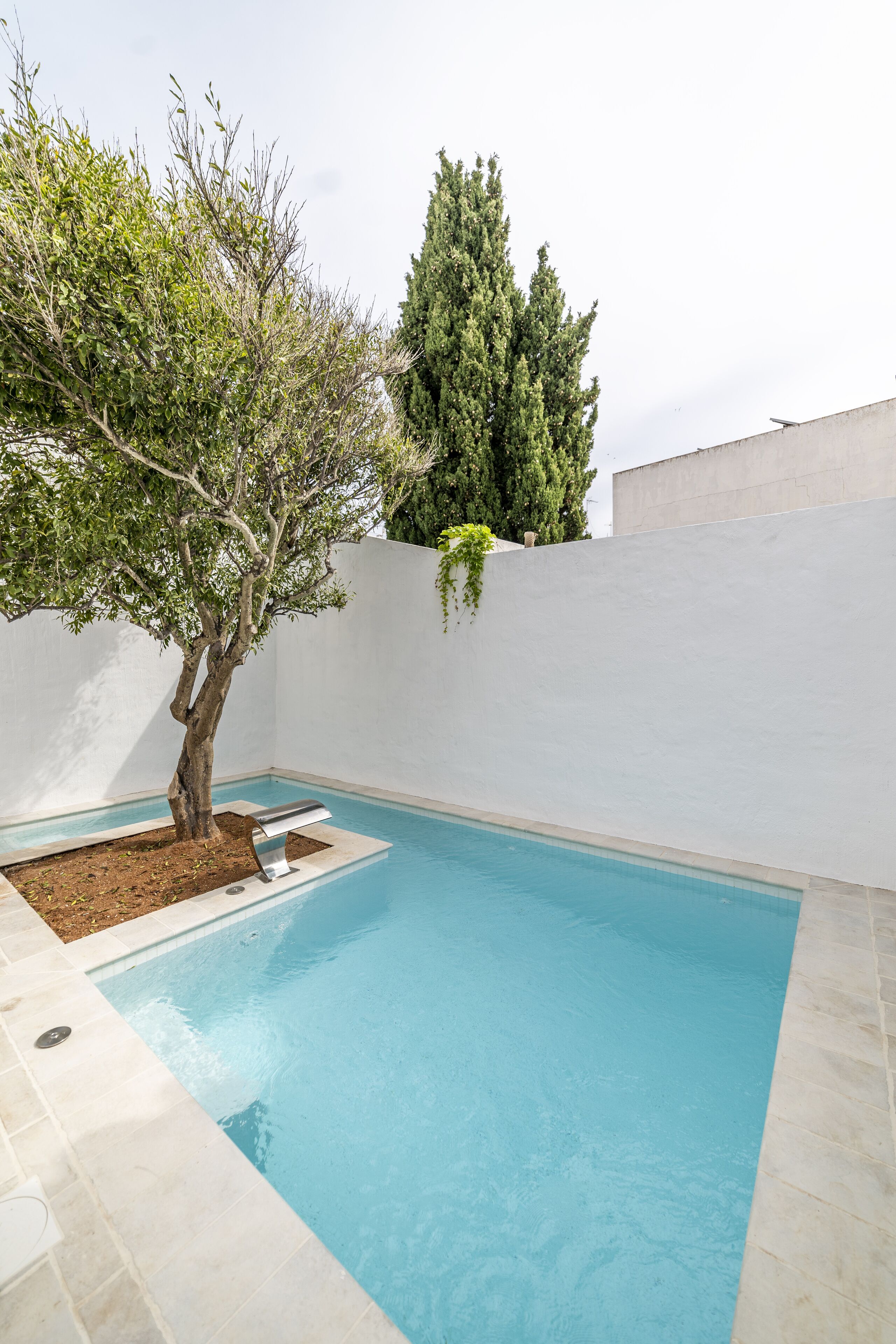 Une piscine avec un arbre et une grande plante devant un mur blanc.