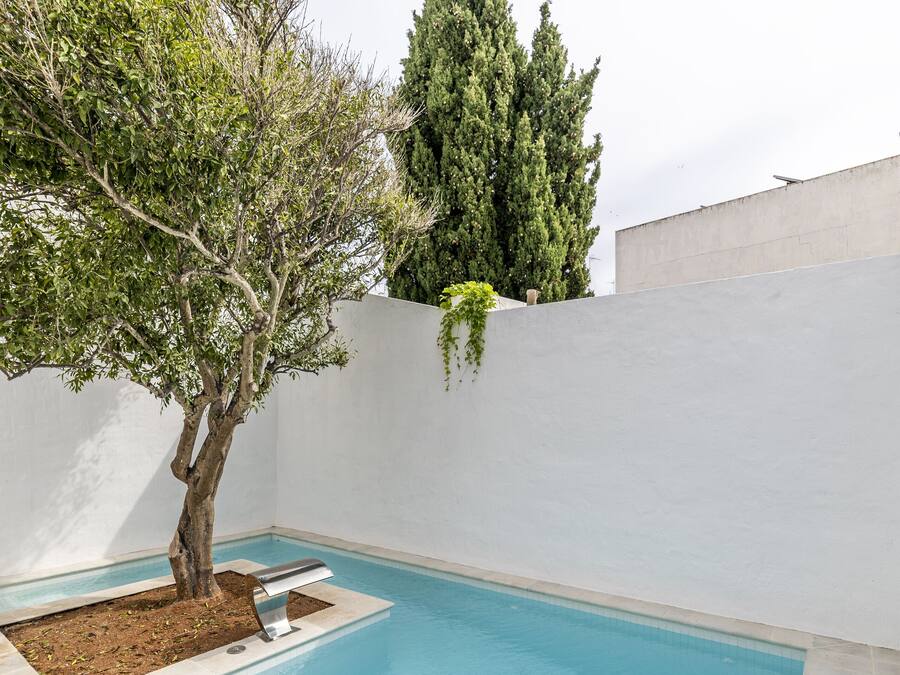 Une piscine avec un arbre et une grande plante devant un mur blanc.