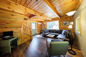 TV, fireplace, DVD player, books