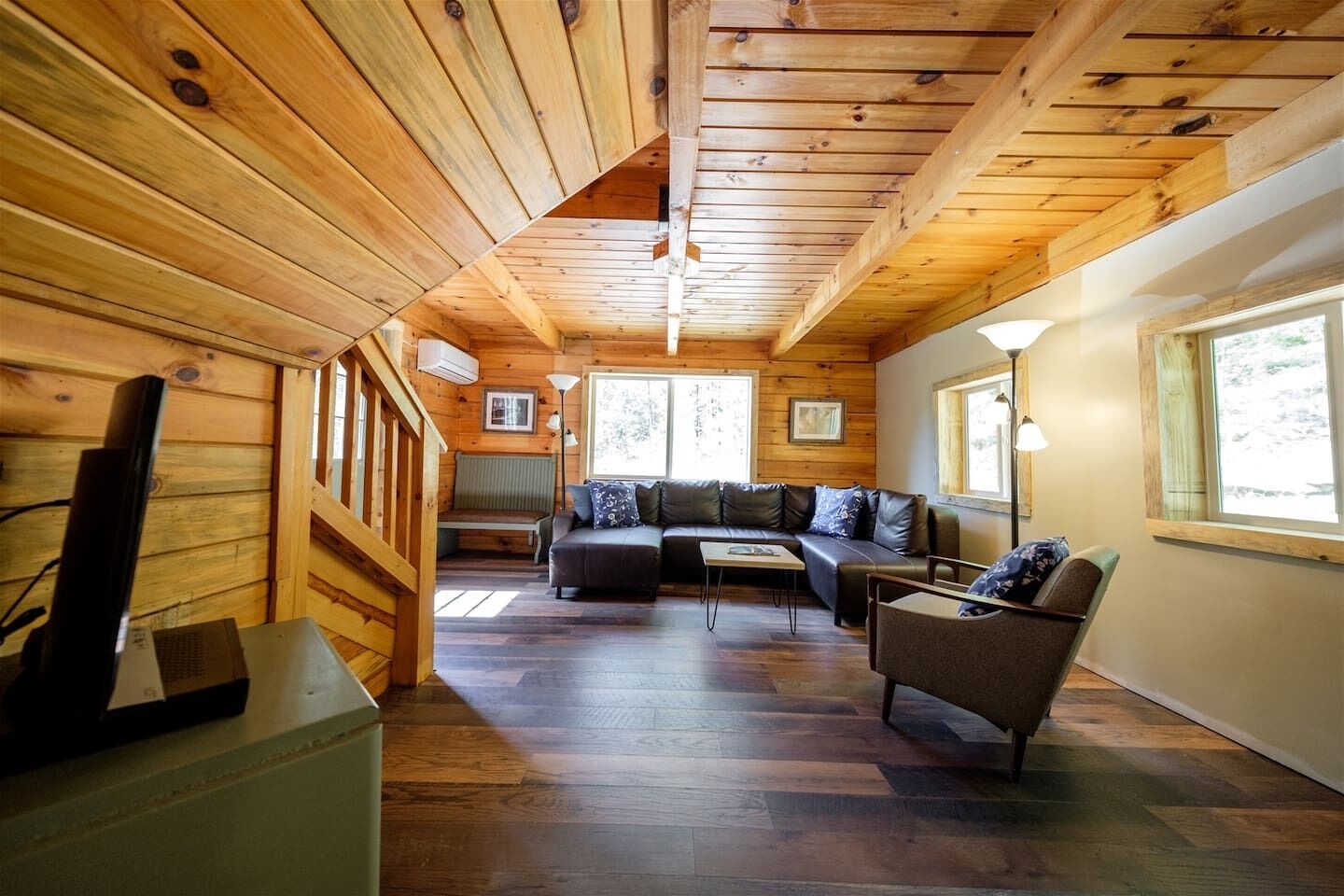 TV, fireplace, DVD player, books