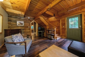 TV, fireplace, DVD player, books
