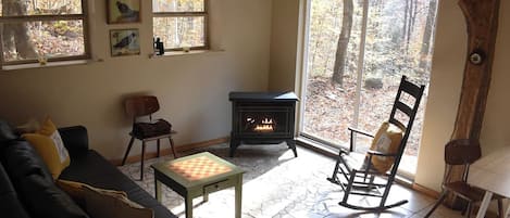 Fireplace, books