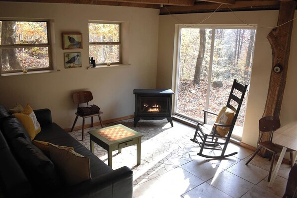 Fireplace, books