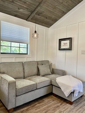 Smart TV, chimenea y libros 