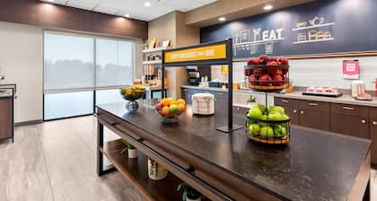 Hampton Inn by Hilton Huntley Chicago