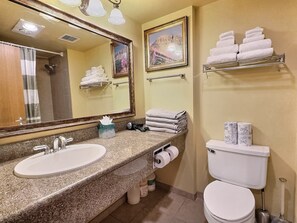 浴缸、風筒、提供毛巾