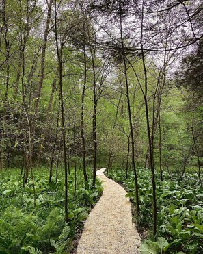 Property grounds - Drumore Mill is amazingly beautiful. One has to see it to believe it. (Drumore)