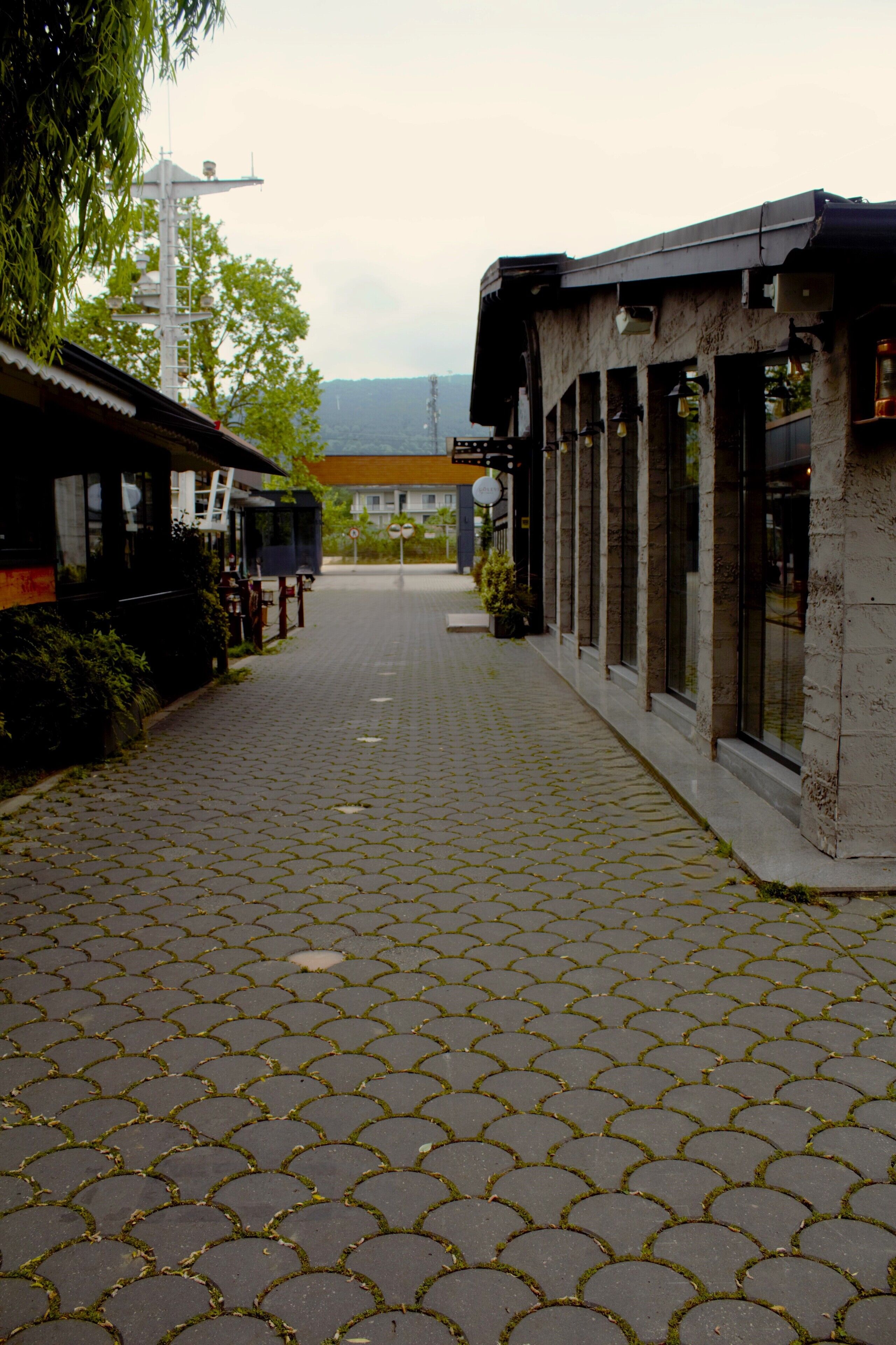 A paved pathway leading to a building with a modern architectural style, featuring large windows and a flat roof.