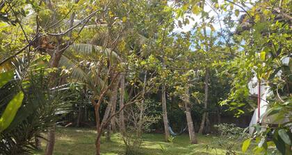 Tropical Dream near a golden beach