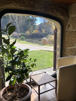 Eine Terrasse mit einem Blumentopf, einem Stuhl und Blick auf eine grüne Landschaft durch ein steinrahmiges Fenster.