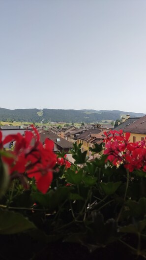 Vue depuis l’hébergement