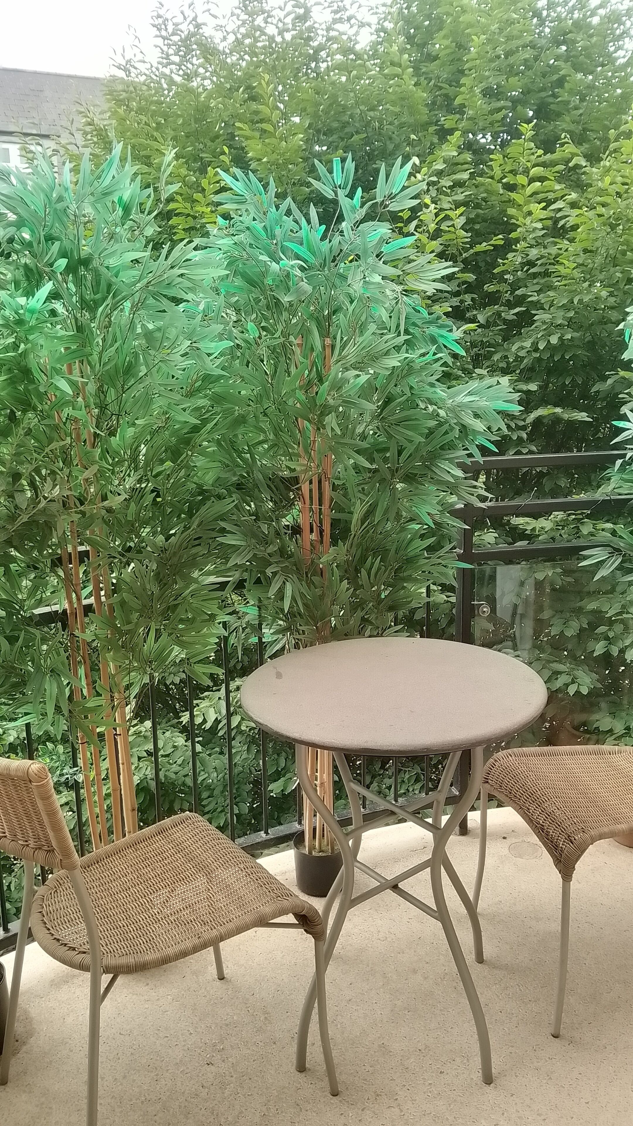 A round table with a woven chair on each side, set on a concrete patio with a backdrop of green foliage and a bamboo fence.