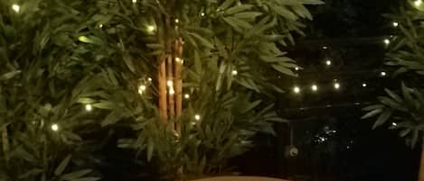 Un espacio al aire libre con una mesa redonda y dos sillas, rodeado de follaje e iluminación con luces colgantes.