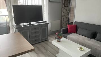 Televisio, DVD-soitin