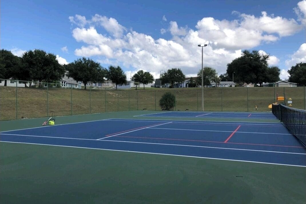 Ein Tennisplatz mit Netz, umzäunt von Bäumen.