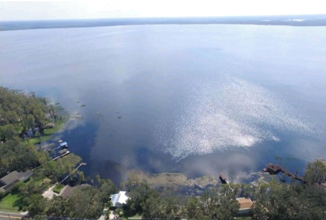A large body of water with a shoreline featuring residential buildings and greenery.