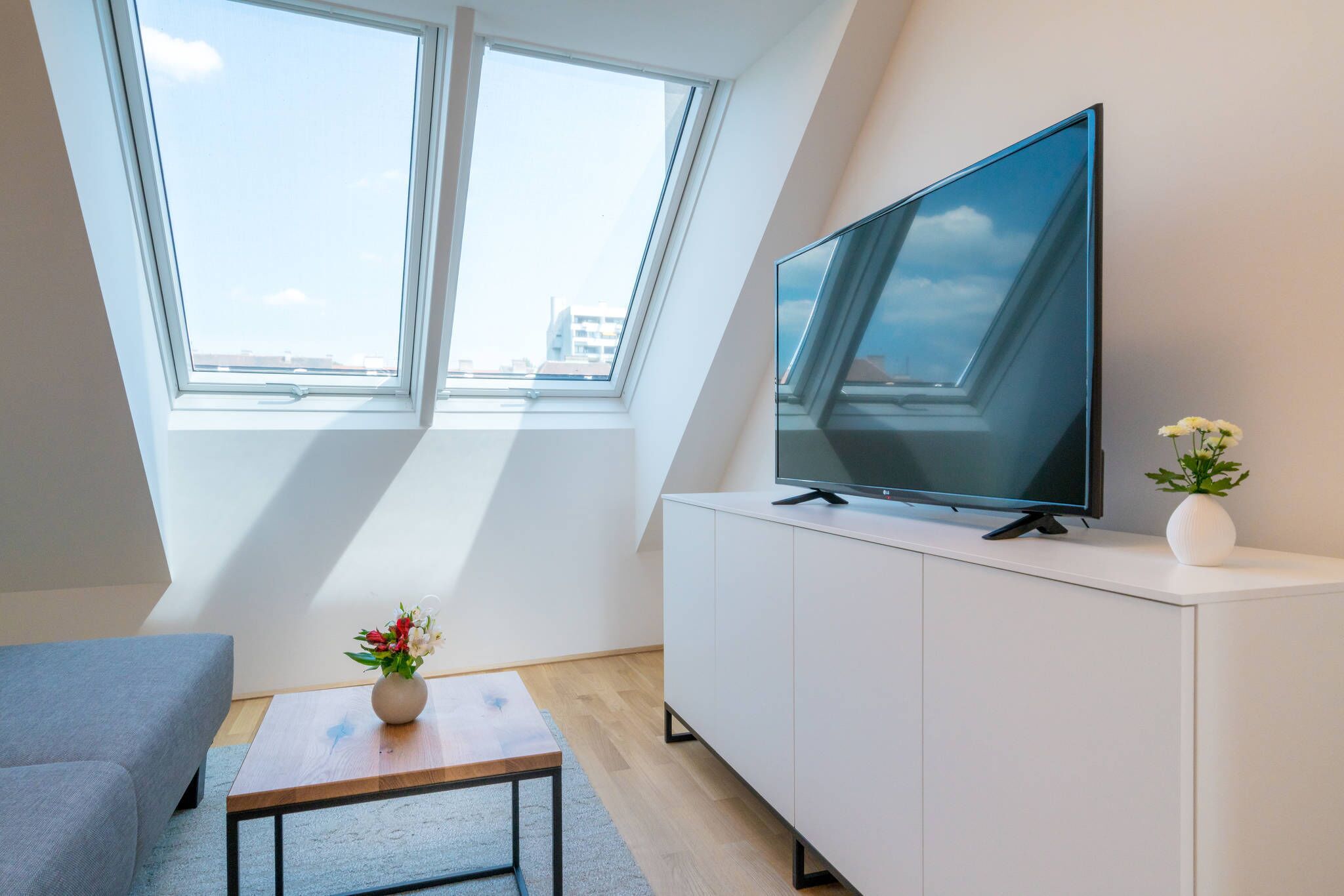 Fernseher