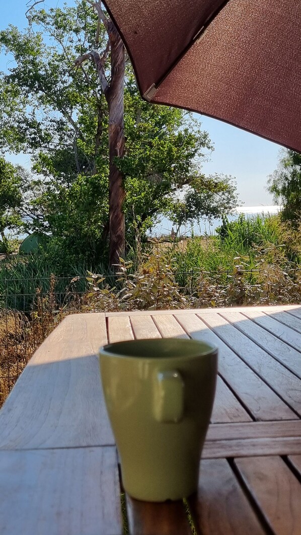Une table en bois sur laquelle est posée une tasse verte, le tout entouré de verdure et d’arbres.