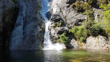 Une cascade se jetant dans un bassin limpide, entouré de rochers et de verdure.