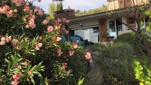 A modern house with a patio area, surrounded by lush greenery and flowering plants. - Family villa with sea view classified 3*** - 8 people (Le Lavandou)