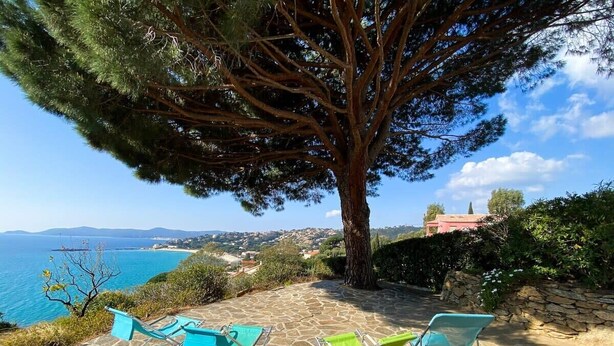A stone patio with two blue and one green lounge chair, overlooking a coastal landscape with a large tree and a stone wall. - Family villa with sea view classified 3*** - 8 people (Le Lavandou)