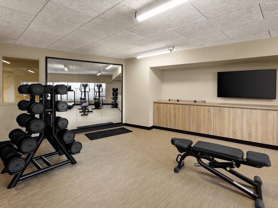 A gym with a bench press, a rack of dumbbells, and a television on the wall.
