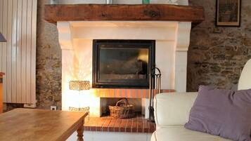 Flat-screen TV, fireplace, DVD player, books