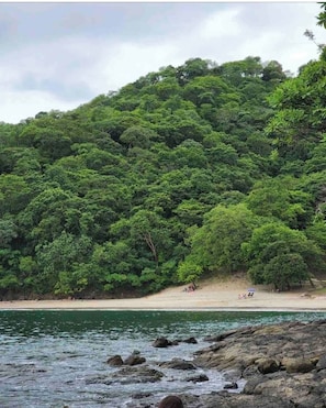 Plage à proximité, chaises longues, serviettes de plage