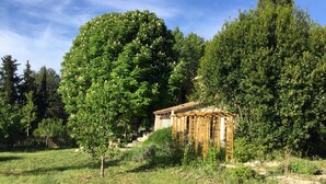 Un petit kiosque en bois, entouré d’une végétation luxuriante et d’arbres.