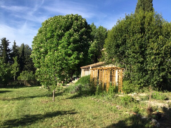 Un pequeño pabellón de madera rodeado de abundante vegetación y árboles.