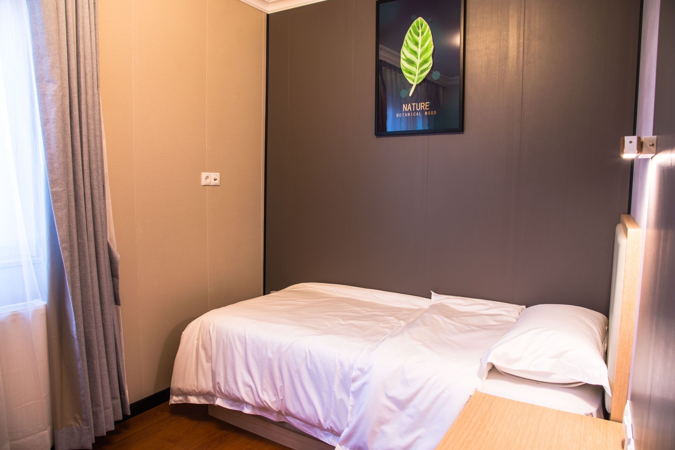 A single bed in a room with a grey wall and a framed botanical image.