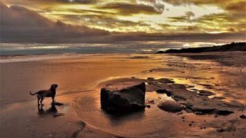In Strandnähe, Liegestühle