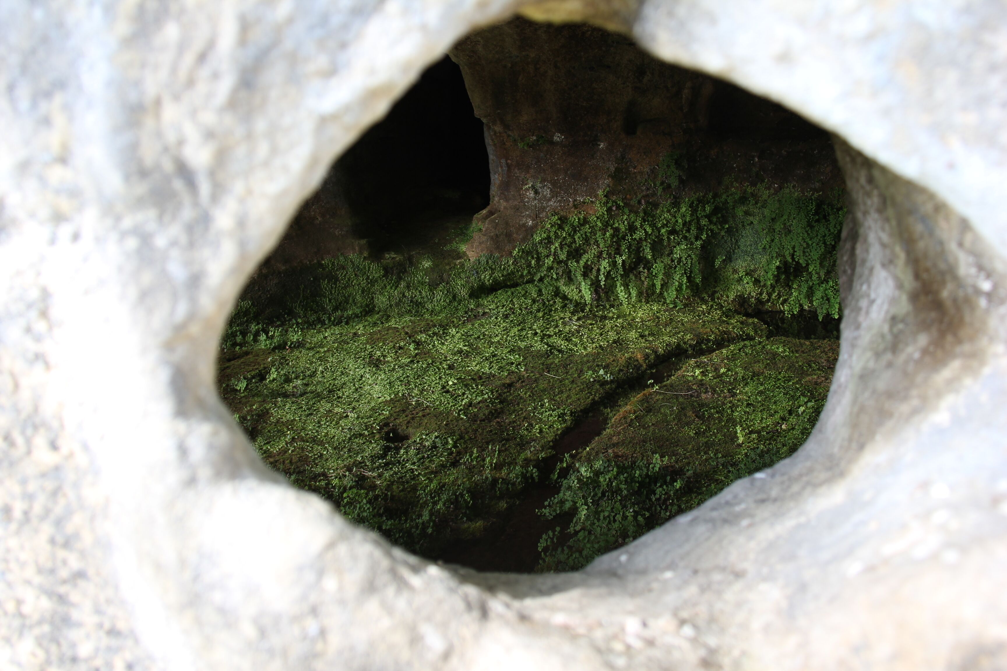A natural cave entrance with moss-covered surfaces.