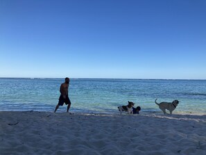Beach nearby, sun-loungers, beach towels